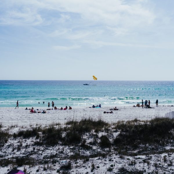 Senor Frogs Pcb Beach Blast Gallery Monday 03 11 26 60