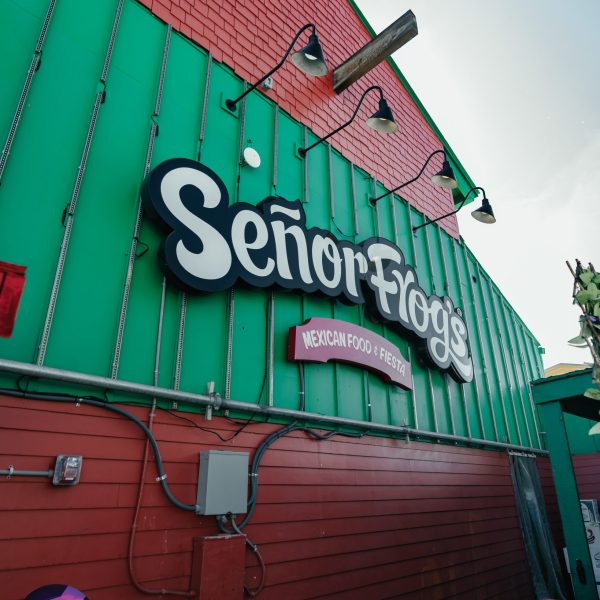 Senor Frogs Pcb Beach Blast Gallery Monday 03 11 26 73
