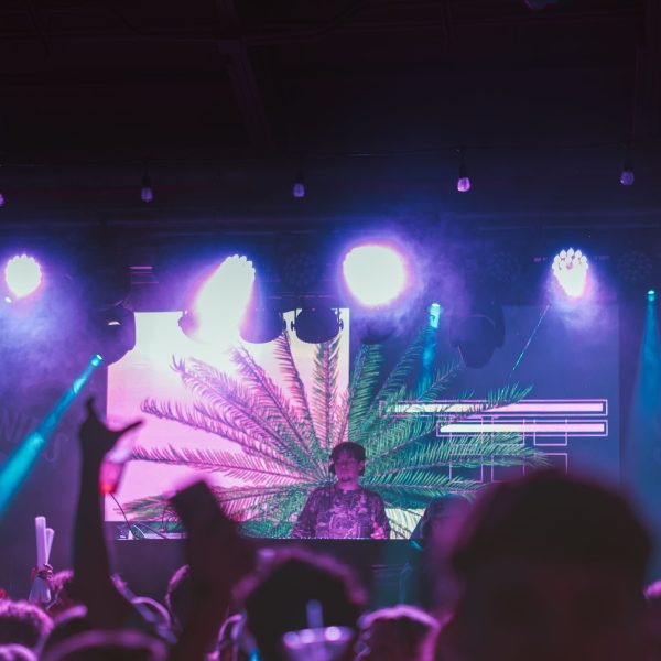 Stage palm graphic crowd, PCB Spring Break 2026