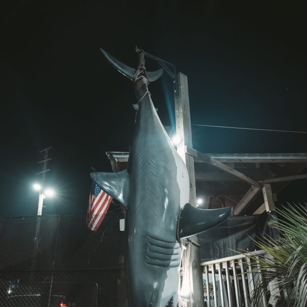 Shark exterior at night, PCB Spring Break 2026
