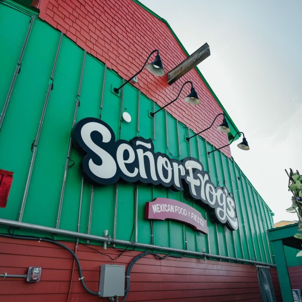 Senor Frog's sign, PCB Spring Break 2026