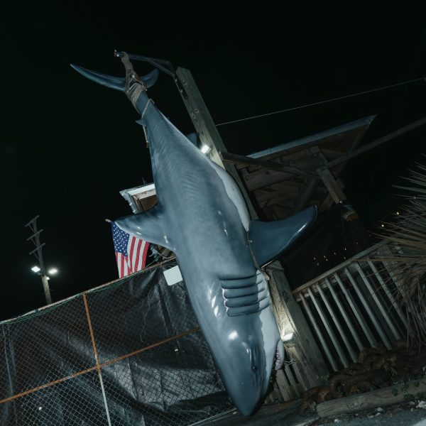 Shark exterior night, PCB Spring Break 2026